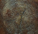 Walt Tools Weatherwood End Grain Skin